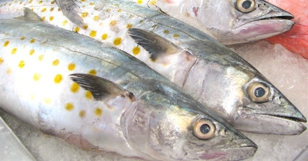 ¿Qué pescados son ricos y económicos para consumir en Cuaresma?