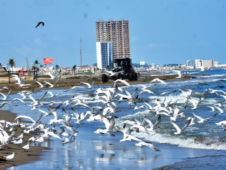 Clima en Coatzacoalcos: así estará hoy 26 de febrero