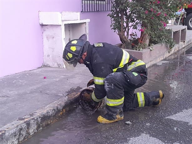 Abre válvulas de tanques de gas y provoca incendio en Veracruz: hay dos víctimas | VIDEO