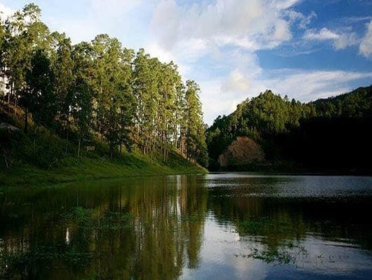 Laguna de San Julián: Cómo llegar a este paraíso poco conocido en el puerto de Veracruz