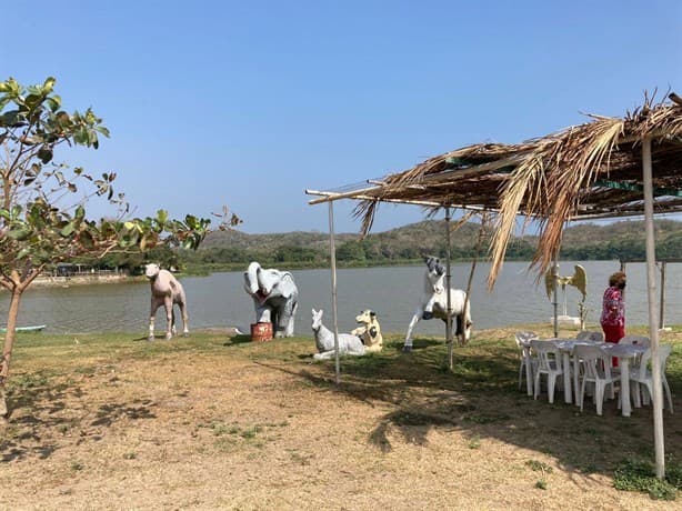 Laguna de San Julián: Cómo llegar a este paraíso poco conocido en el puerto de Veracruz