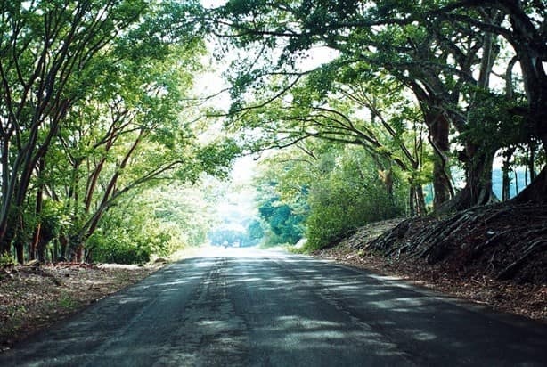 Carreteras en malas condiciones impiden llegada de turistas a Catemaco: Guillermo Macías