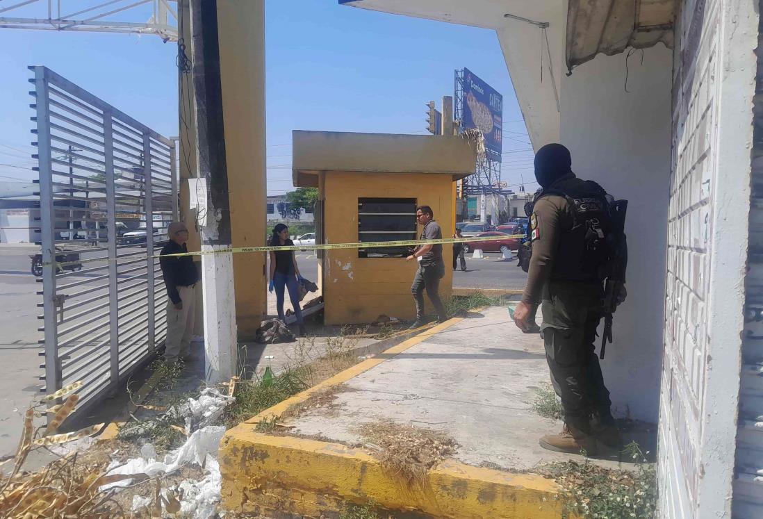 Encuentran a hombre sin vida en el mercado Malibrán, en Veracruz | VIDEO