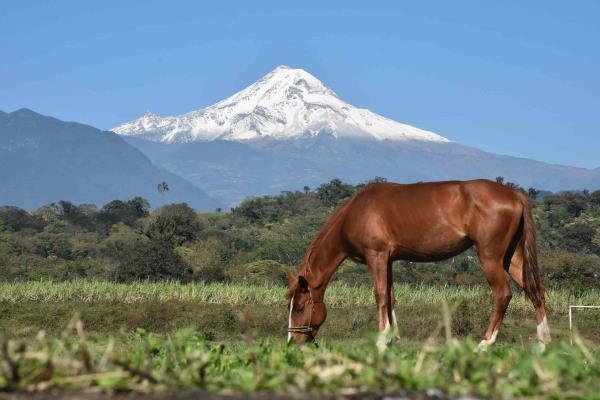¿Cuándo fue la última erupción del Pico de Orizaba?
