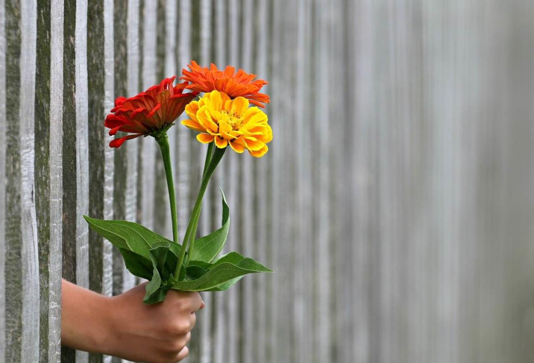 ¿Por qué regalan flores el 29 de febrero?