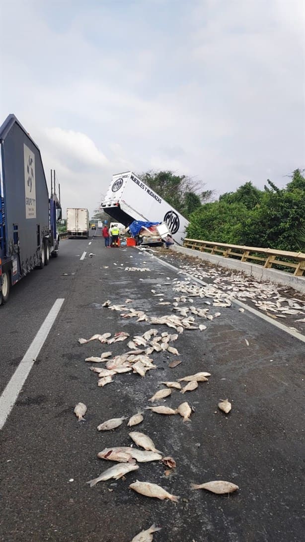 Tráiler queda colgando de un puente en carretera La Tinaja-Cosamaloapan