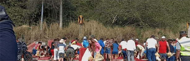 Volcadura de camión con pollos engorda causa movilización y solidaridad en carretera de Alvarado