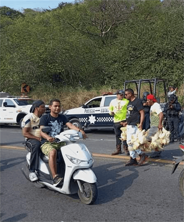 Volcadura de camión con pollos engorda causa movilización y solidaridad en carretera de Alvarado