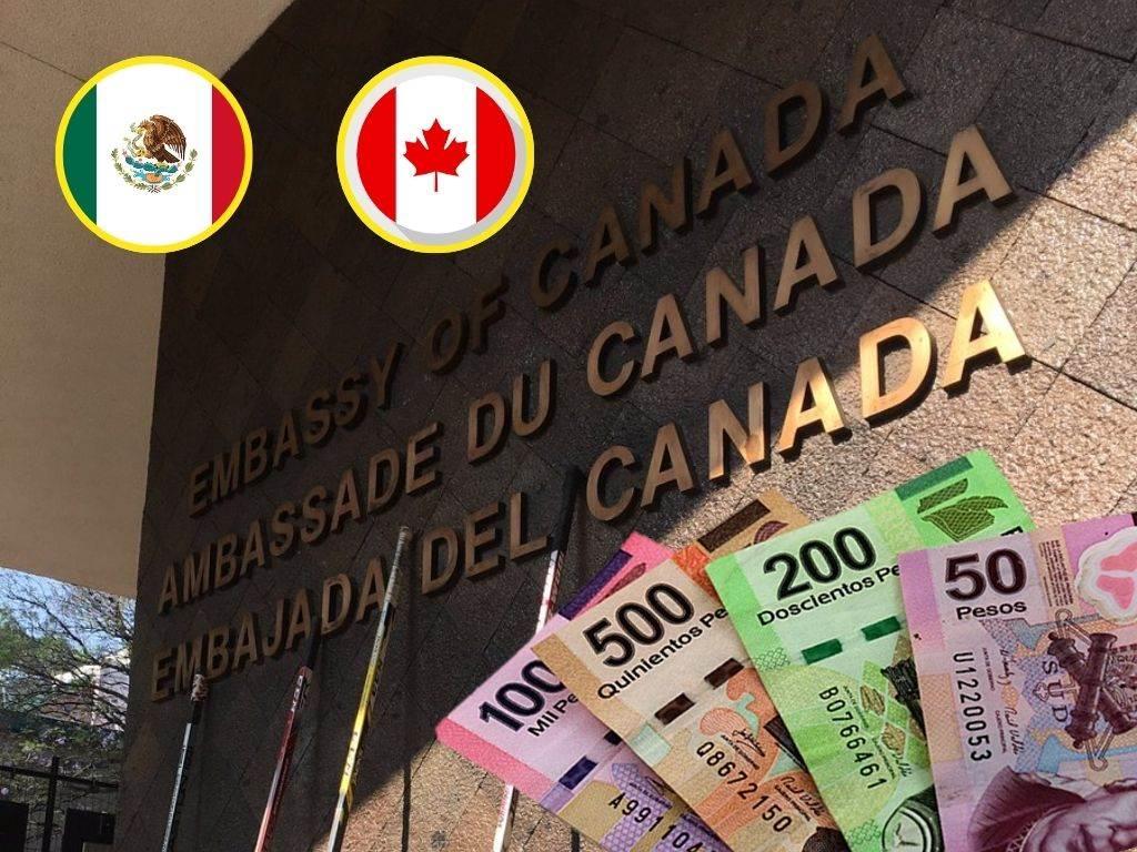 Ofrecen vacante con sueldo de hasta 600 mil pesos en embajada canadiense