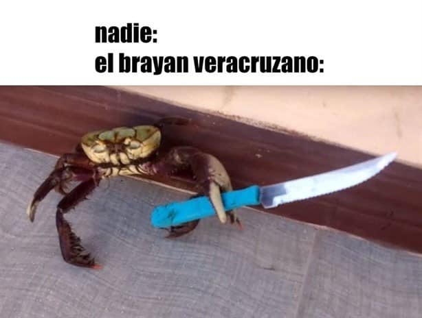 10 memes de Veracruz que han entretenido a las redes sociales