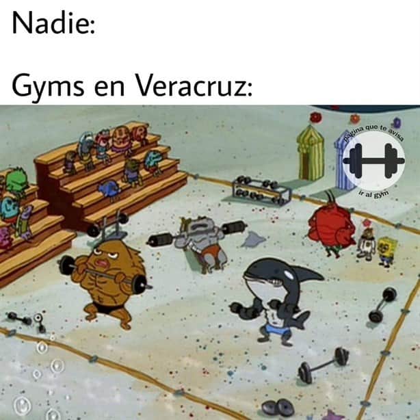 10 memes de Veracruz que han entretenido a las redes sociales