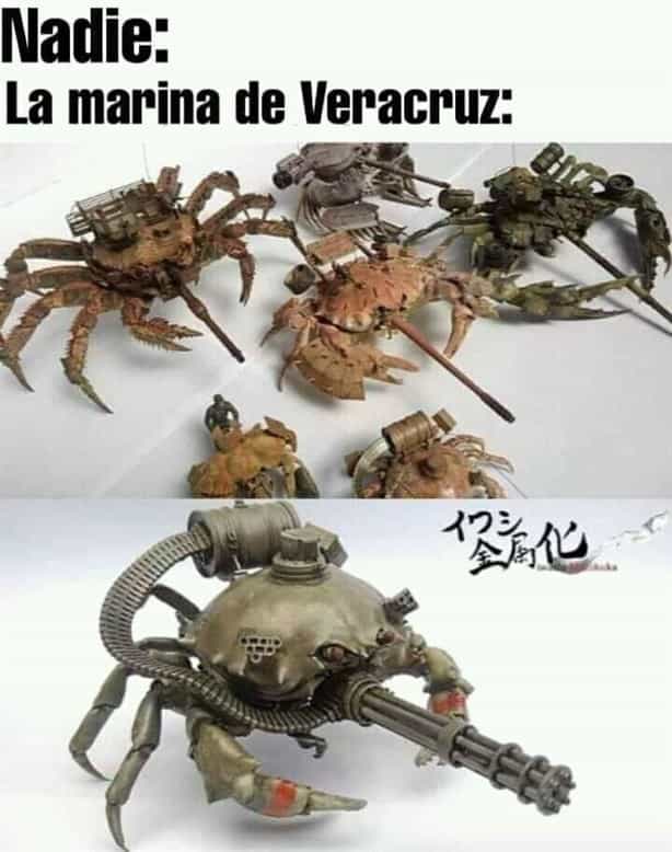 10 memes de Veracruz que han entretenido a las redes sociales