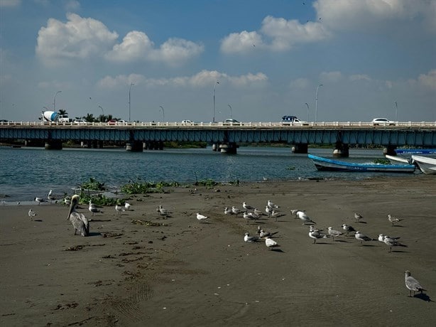 Riesgo latente en Boca del Río por falta de dragado en río Jamapa