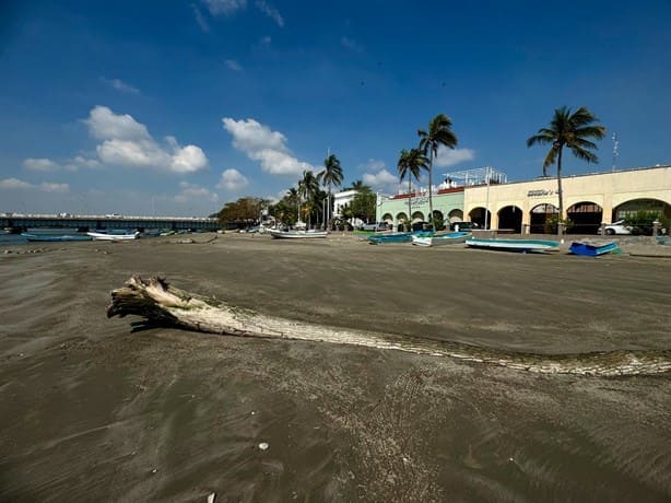 Riesgo latente en Boca del Río por falta de dragado en río Jamapa