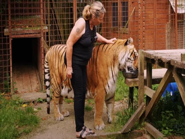 Brigitte, la mujer que enterneció al internet criando un tigre ciego de nacimiento