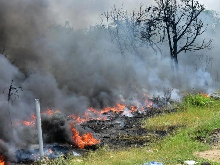 Estos son los municipios del sur que registran aumento de incendios por ola de calor