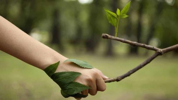 Agenda Ambiental: Conducta, psicología y naturaleza