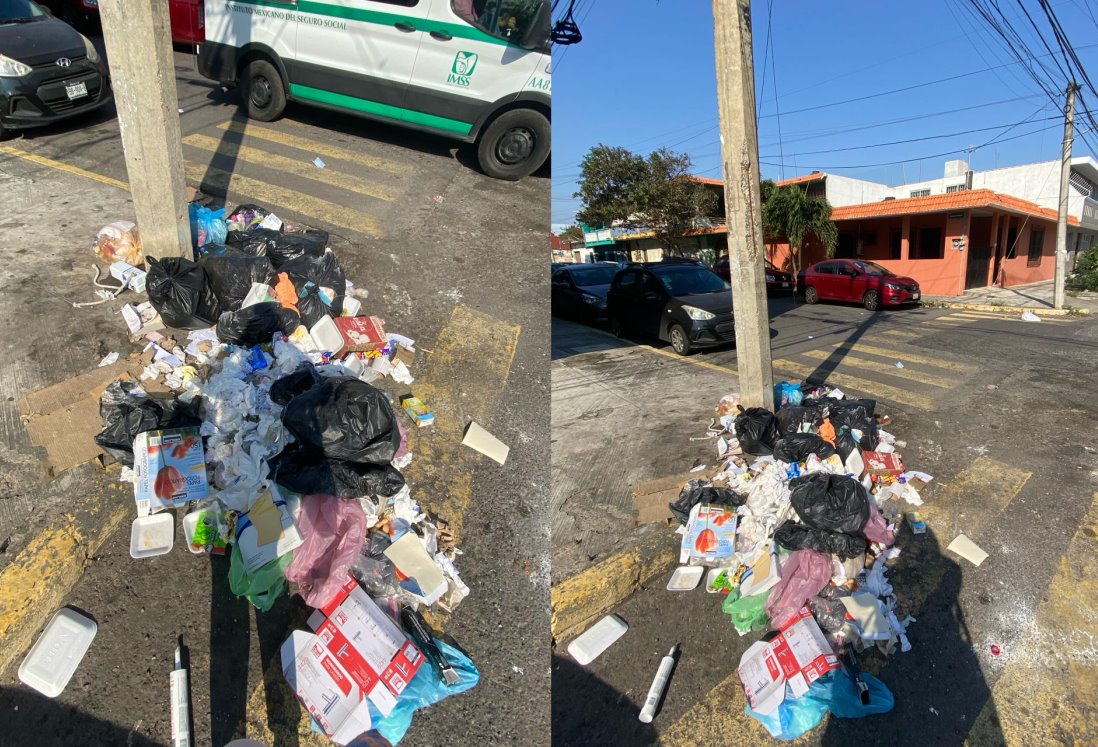 Vecinos de colonia Formando Hogar denuncian cúmulo de basura