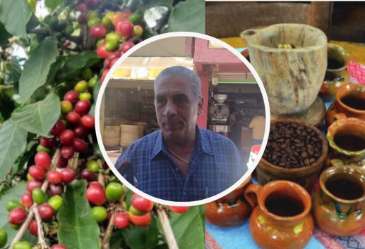 En Veracruz, hay buena cosecha de café y estabilidad en el precio (+VIDEO)