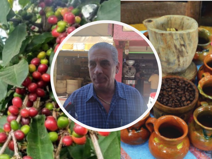 En Veracruz, hay buena cosecha de café y estabilidad en el precio (+VIDEO)