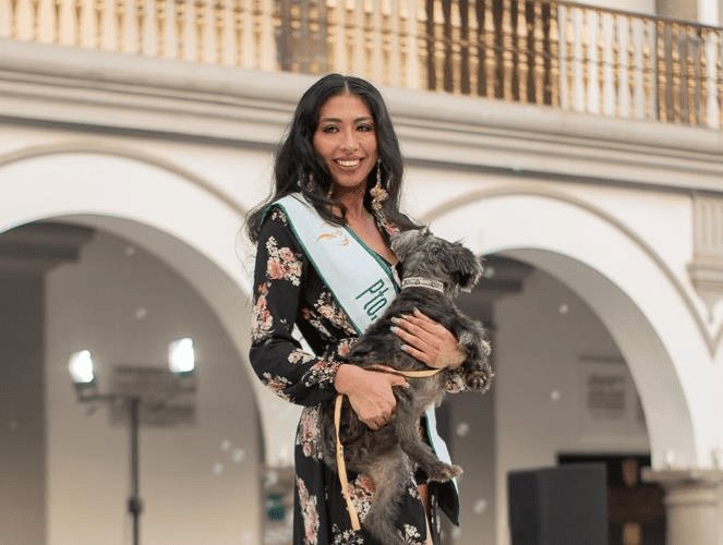 Finalistas de Miss Earth Veracruz participan en pasarela de adopción para perritos