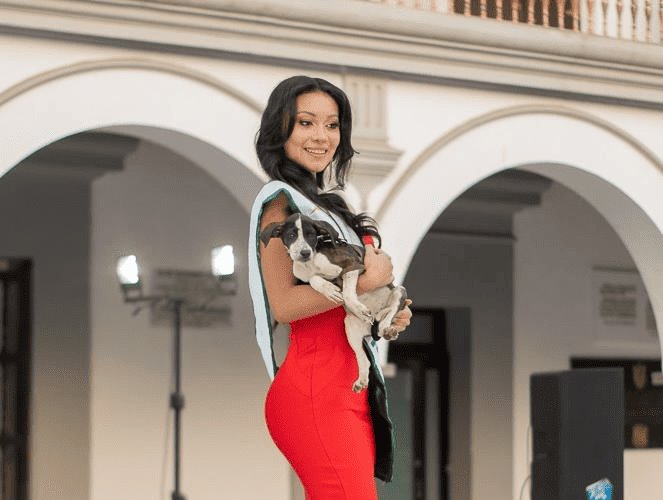 Finalistas de Miss Earth Veracruz participan en pasarela de adopción para perritos