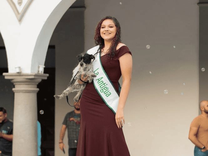 Finalistas de Miss Earth Veracruz participan en pasarela de adopción para perritos