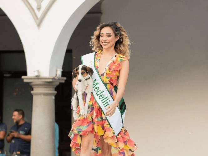 Finalistas de Miss Earth Veracruz participan en pasarela de adopción para perritos