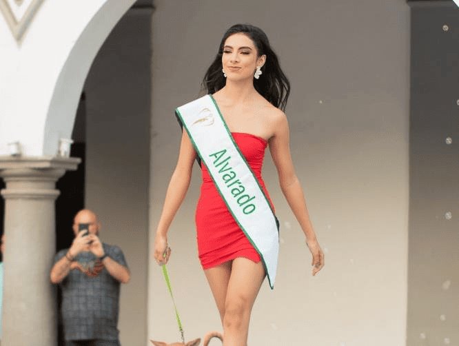 Finalistas de Miss Earth Veracruz participan en pasarela de adopción para perritos