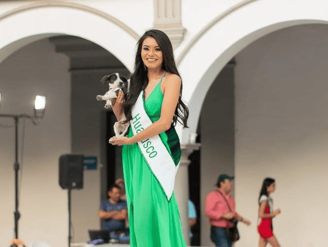 Finalistas de Miss Earth Veracruz participan en pasarela de adopción para perritos