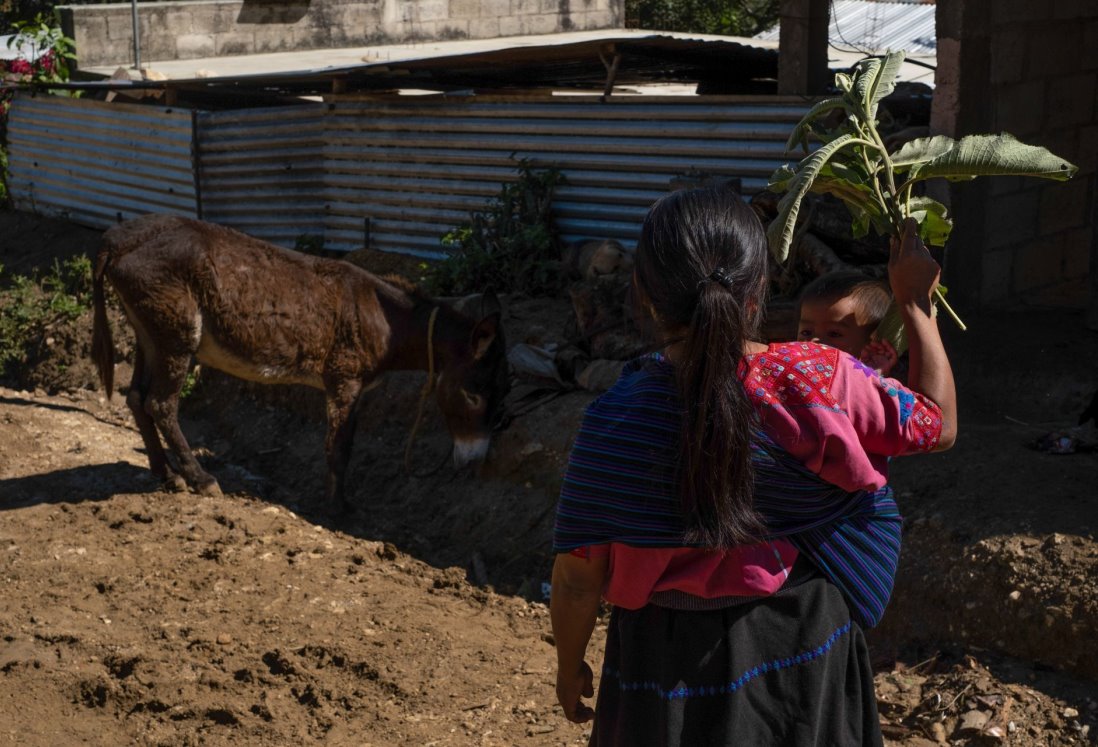 Más de la mitad de las mujeres en Veracruz viven en pobreza laboral