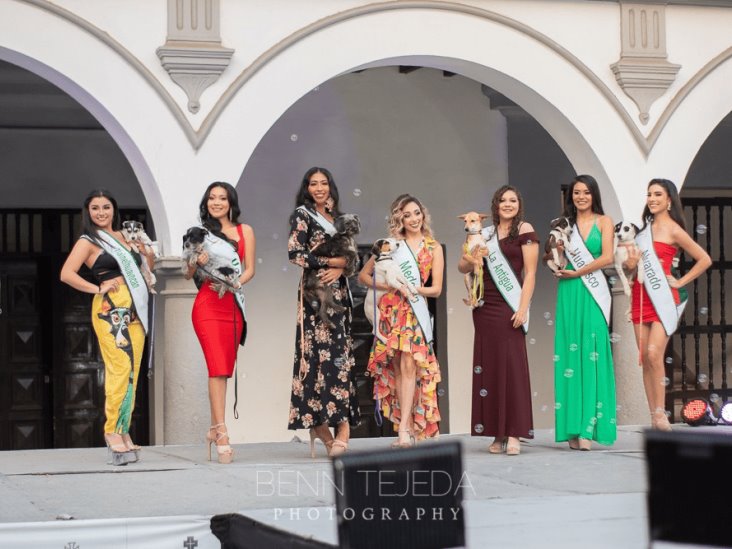 Finalistas de Miss Earth Veracruz participan en pasarela de adopción para perritos