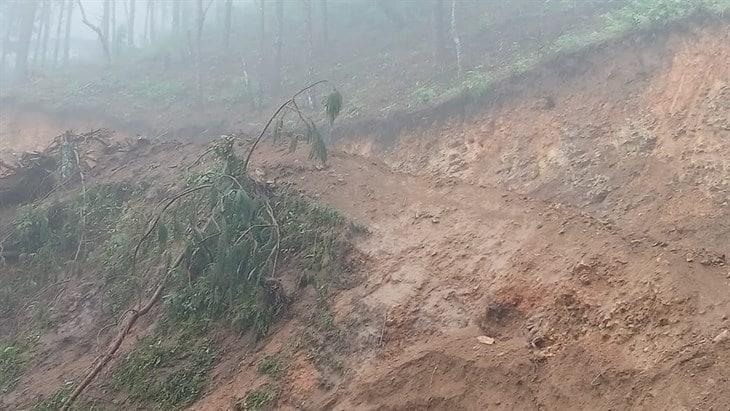 Autobús de turismo estuvo a punto de caer a un barranco en la carretera Orizaba-Zongolica