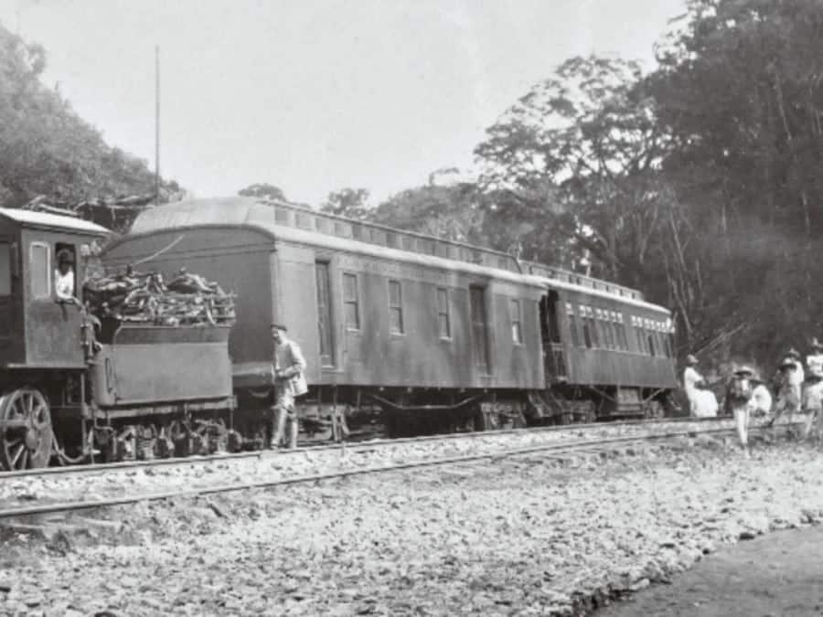 Tren Interoceánico: En esta fecha fue la primera vez que un tren viajó de Coatzacoalcos a Salina Cruz