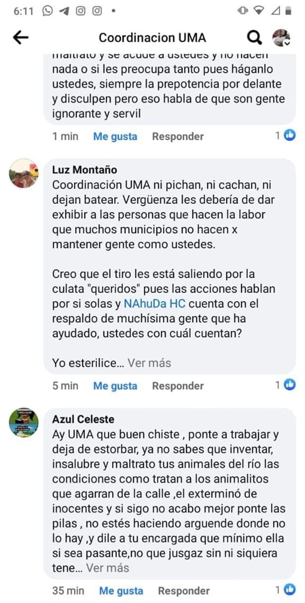 UMA de Orizaba irrumpe en jornada de esterilización animal; la tunden en redes