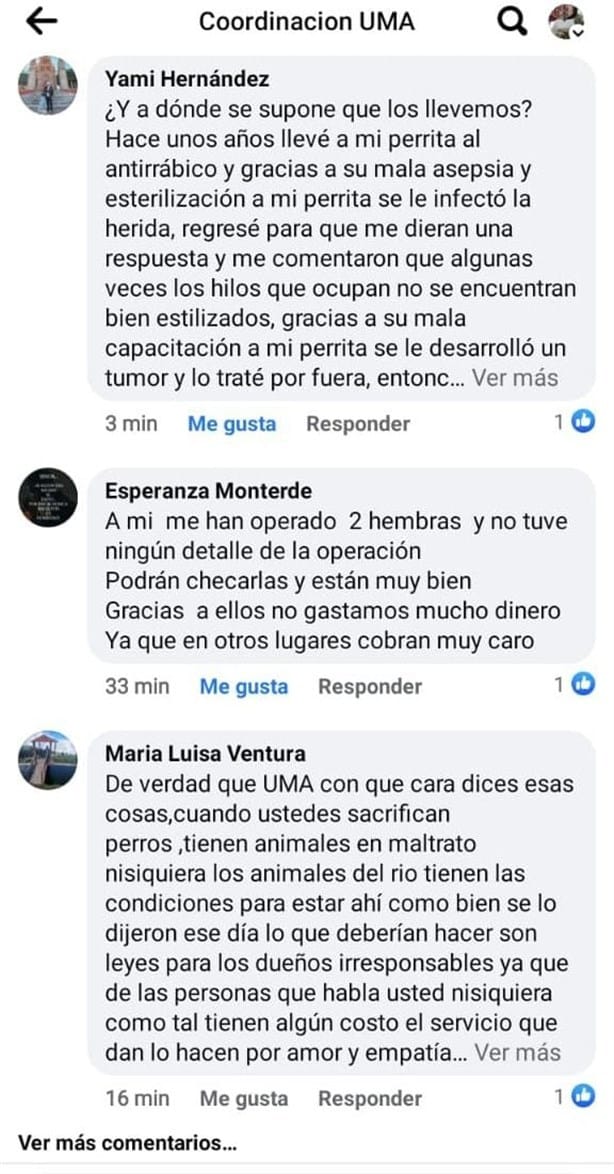 UMA de Orizaba irrumpe en jornada de esterilización animal; la tunden en redes