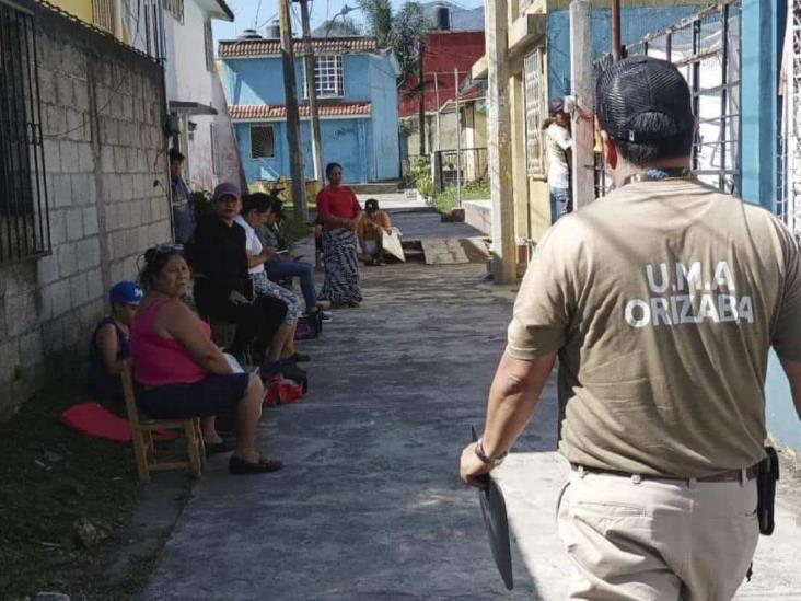 UMA de Orizaba irrumpe en jornada de esterilización animal; la tunden en redes