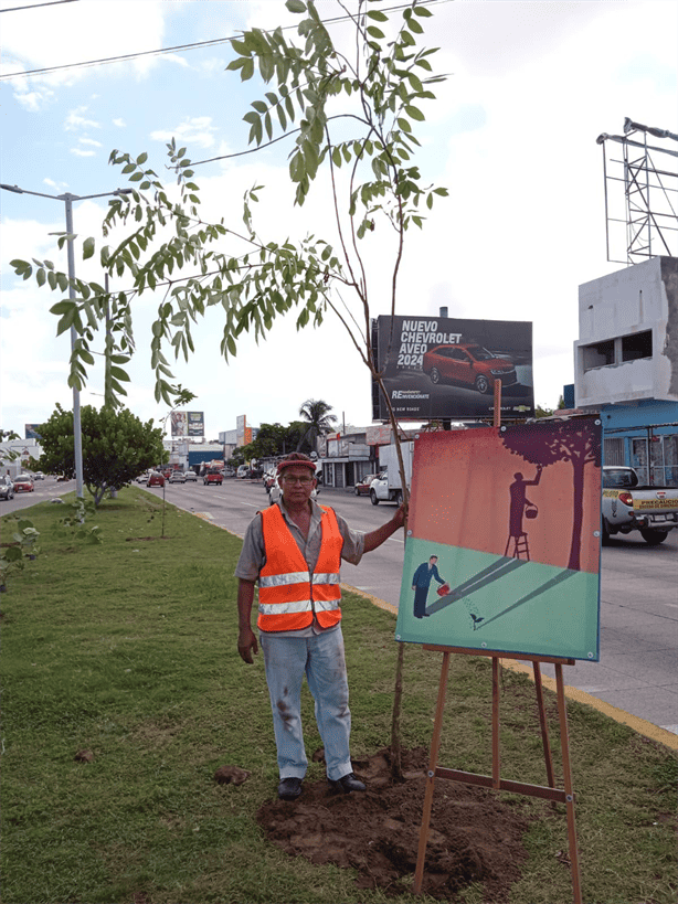 Iniciativa Verde en avenida Rafael Cuervo: sembrarán más de 150 plantas en zona norte de Veracruz