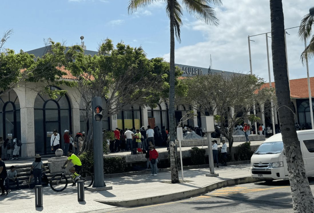 Exitoso martes gratis en el Aquarium de Veracruz