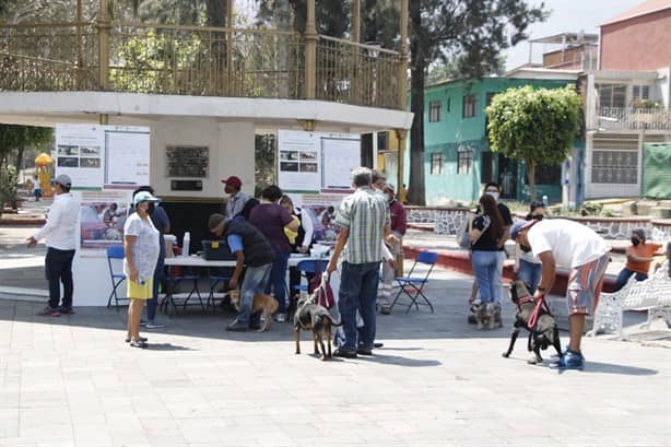 Alistan Semana de Vacunación Antirrábica en Río Blanco