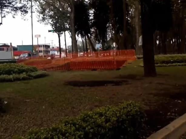 Tala de árboles en Xalapa: ¿cortarán más en la avenida Xalapa? esto sabemos