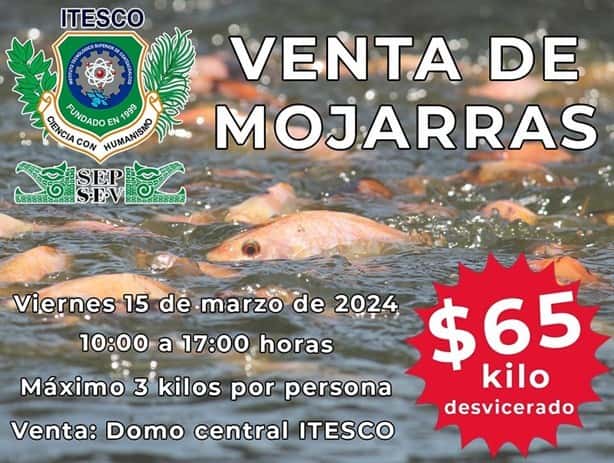 Universidad de Coatzacoalcos realizará venta de mojarras, aquí los detalles