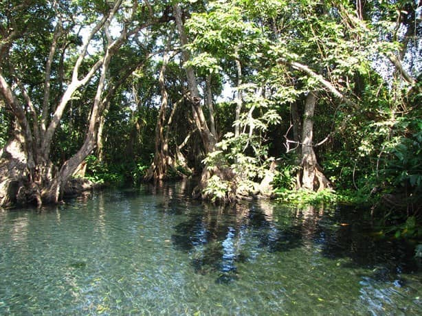 La Poza de los Enanos: el encanto oculto en Catemaco para visitar en vacaciones