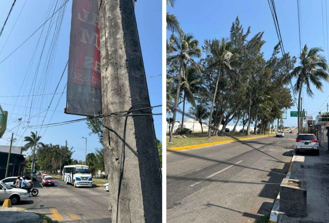 Alertan por cables tirados en Allende Norte, en Veracruz