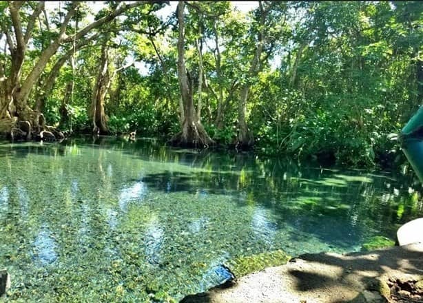 La Poza de los Enanos: el encanto oculto en Catemaco para visitar en vacaciones