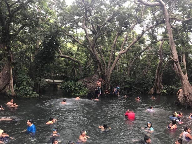 La Poza de los Enanos: el encanto oculto en Catemaco para visitar en vacaciones