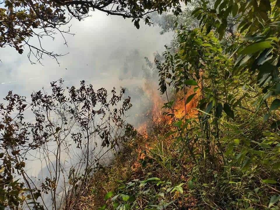 Evitar que quemas de pastizales se salgan de control, exhortan a ganaderos en Moloacán