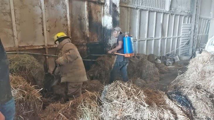 Se reporta incendio en local El establo en Misantla