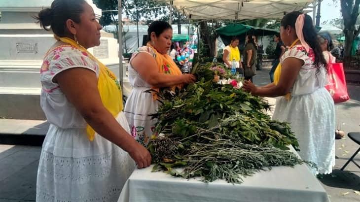 Mujeres comparten medicina tradicional totonaca en el Encuentro Orgullo Veracruzano 