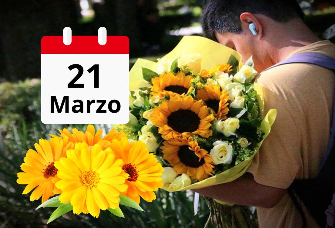 3 florerías en Veracruz donde puedes comprar flores amarillas para regalar el 21 de marzo